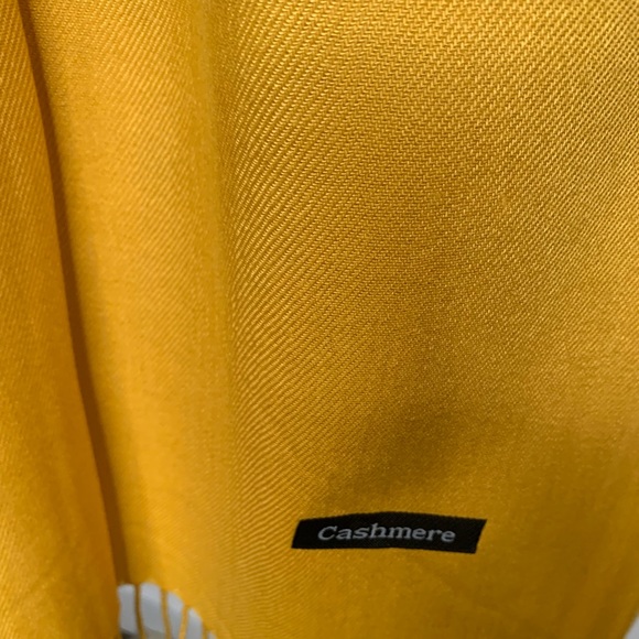 Pashmina - Picture 4 of 8